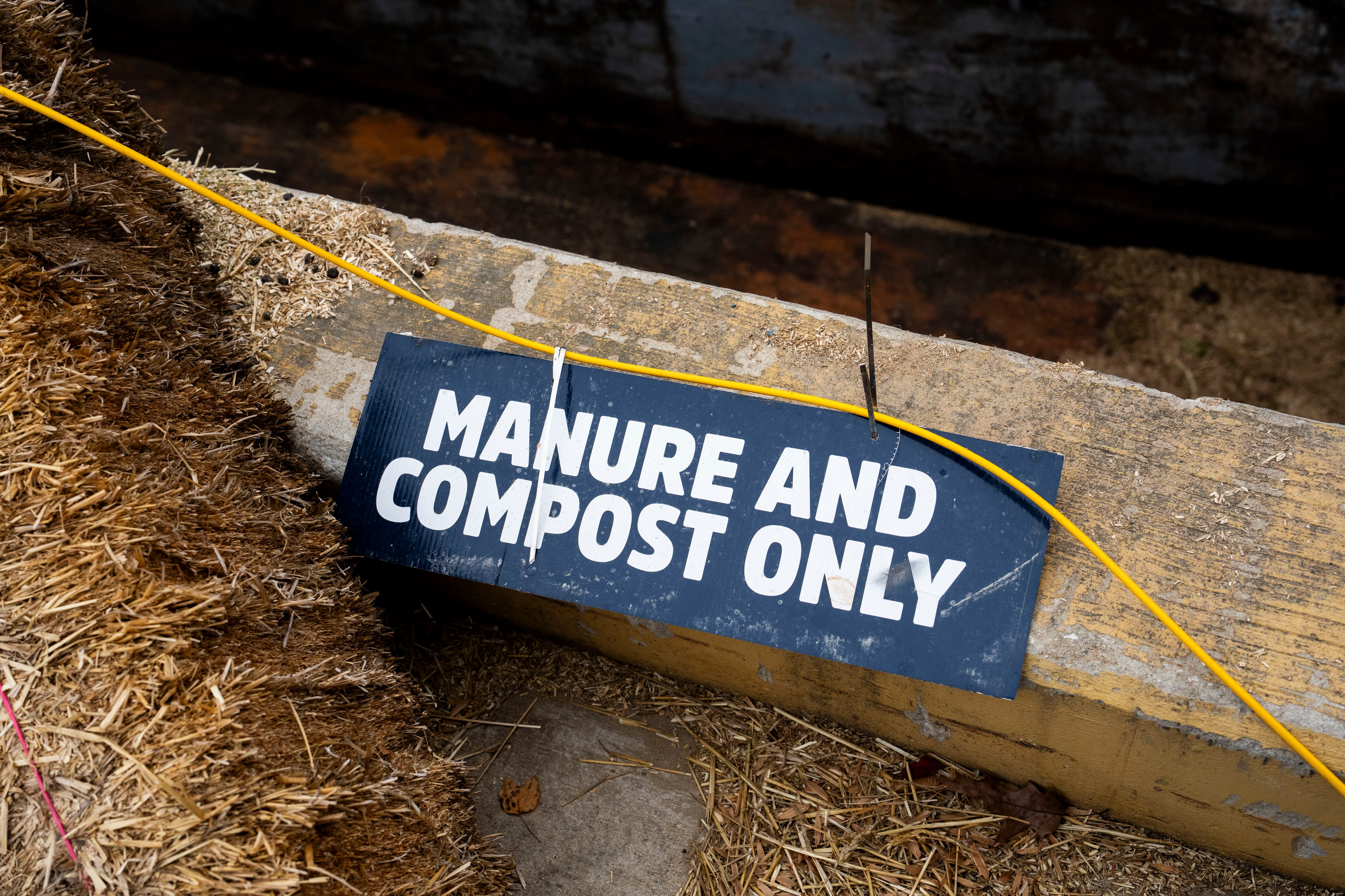 The Maryland Zoo will dedicate a pile of elephant dung in your ex’s dishonor — for a minimum donation of $5.