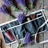 Membership to Star Bright Farm, a lavender farm