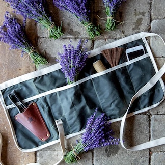 Membership to Star Bright Farm, a lavender farm