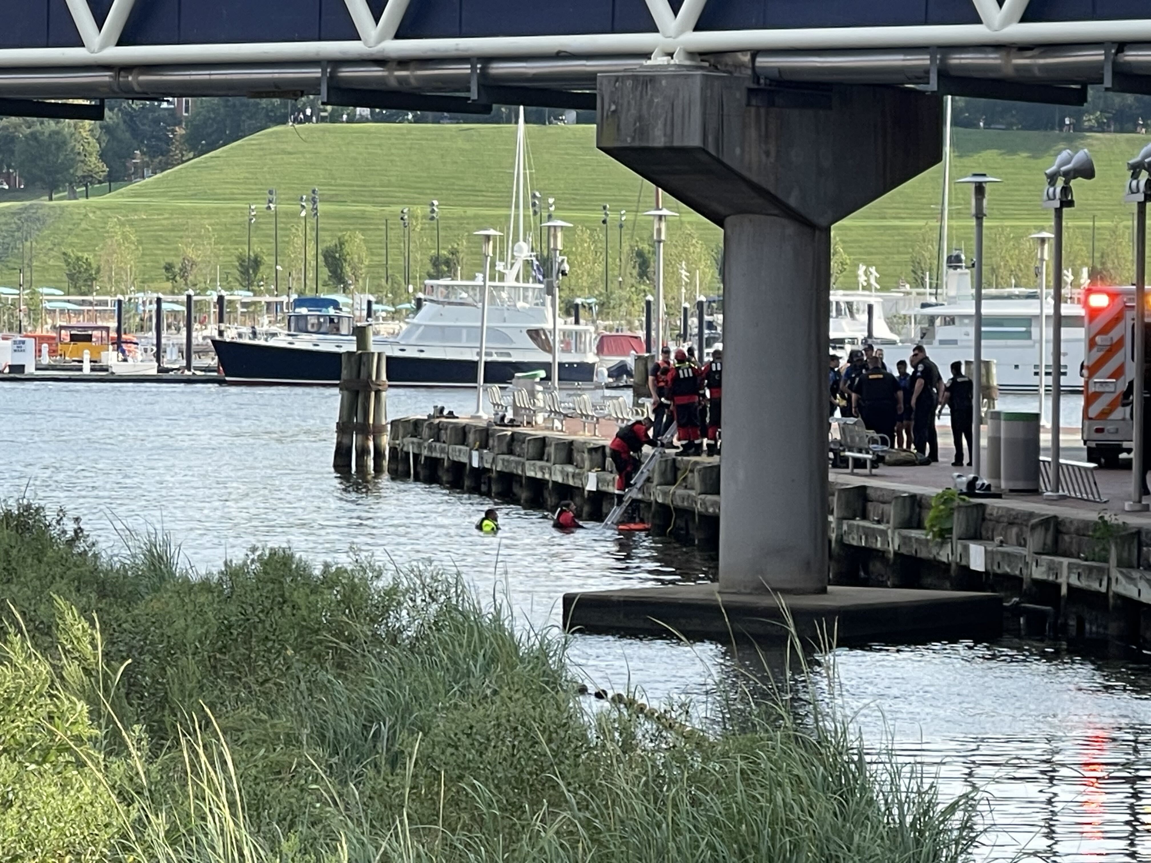 Divers with the Baltimore City Fire Department pulled a person from the Inner Harbor on Friday.