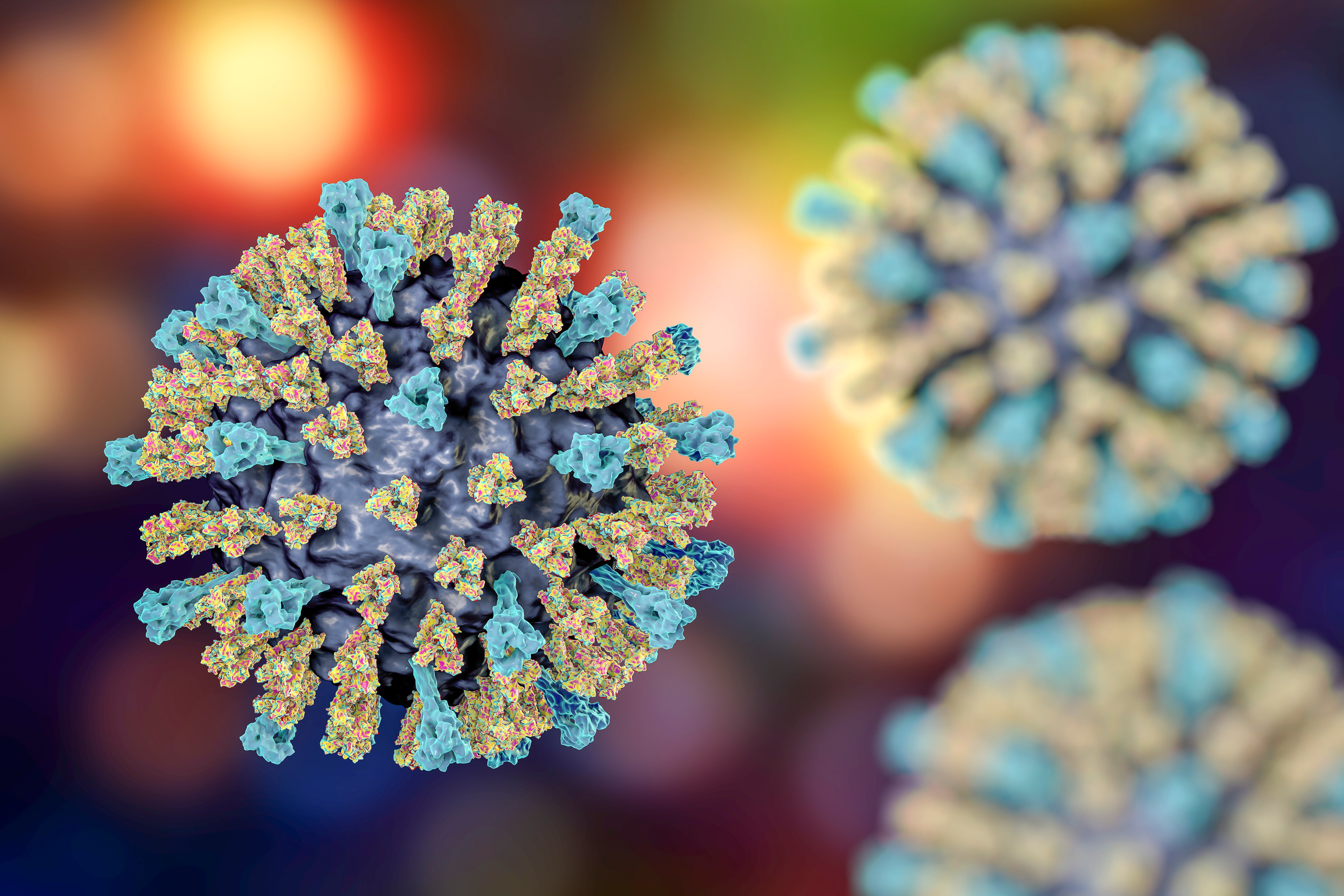 A computer illustration of a measles virus particle. Measles is a highly infectious itchy rash with a fever.