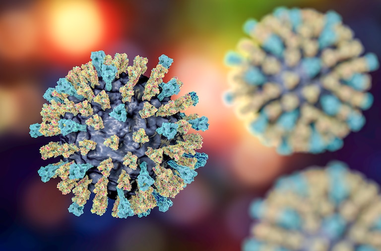 A computer illustration of a measles virus particle. Measles is a highly infectious itchy rash with a fever.