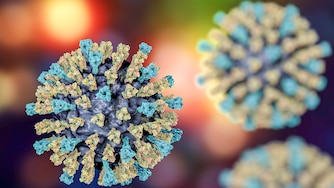 A computer illustration of a measles virus particle. Measles is a highly infectious itchy rash with a fever.