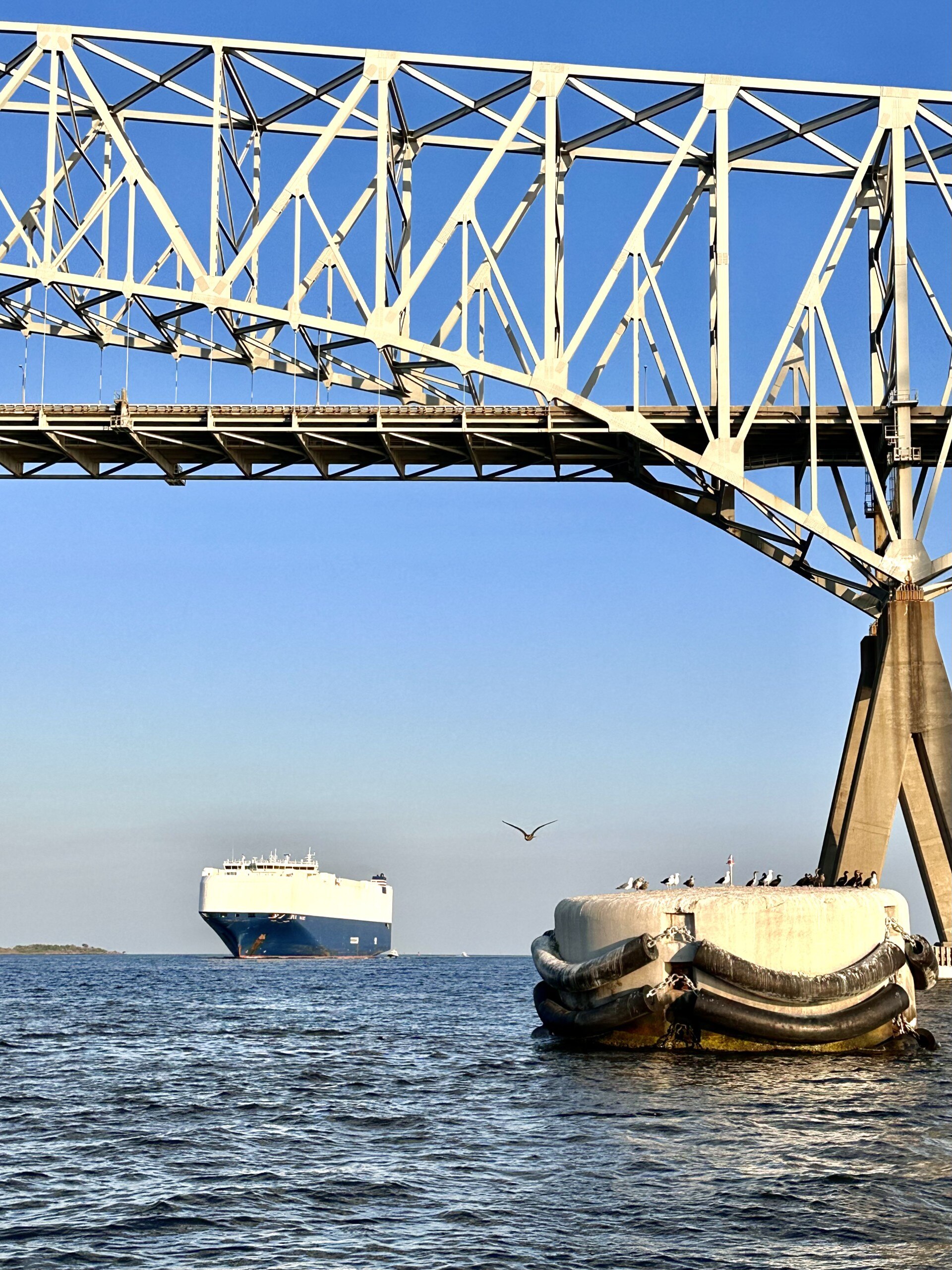The support pier (background, right) that would end up bringing down the Key Bridge, as photographed on August 19, 2023 by amateur ship photographer and plumber-by-day, David Sites. A concrete “dolphin” is visible in the foreground.