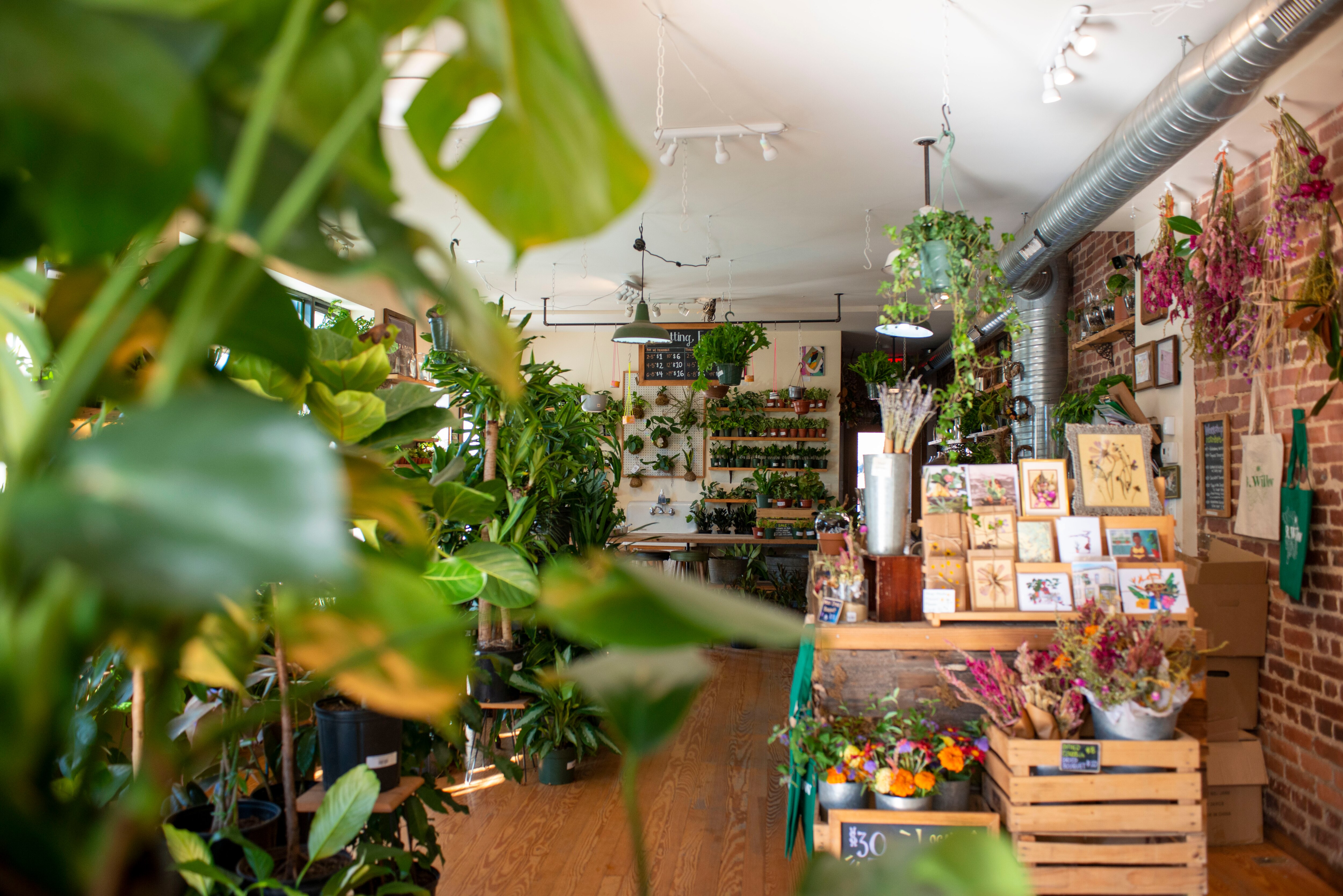 An inside look at B. Willow in Remington.