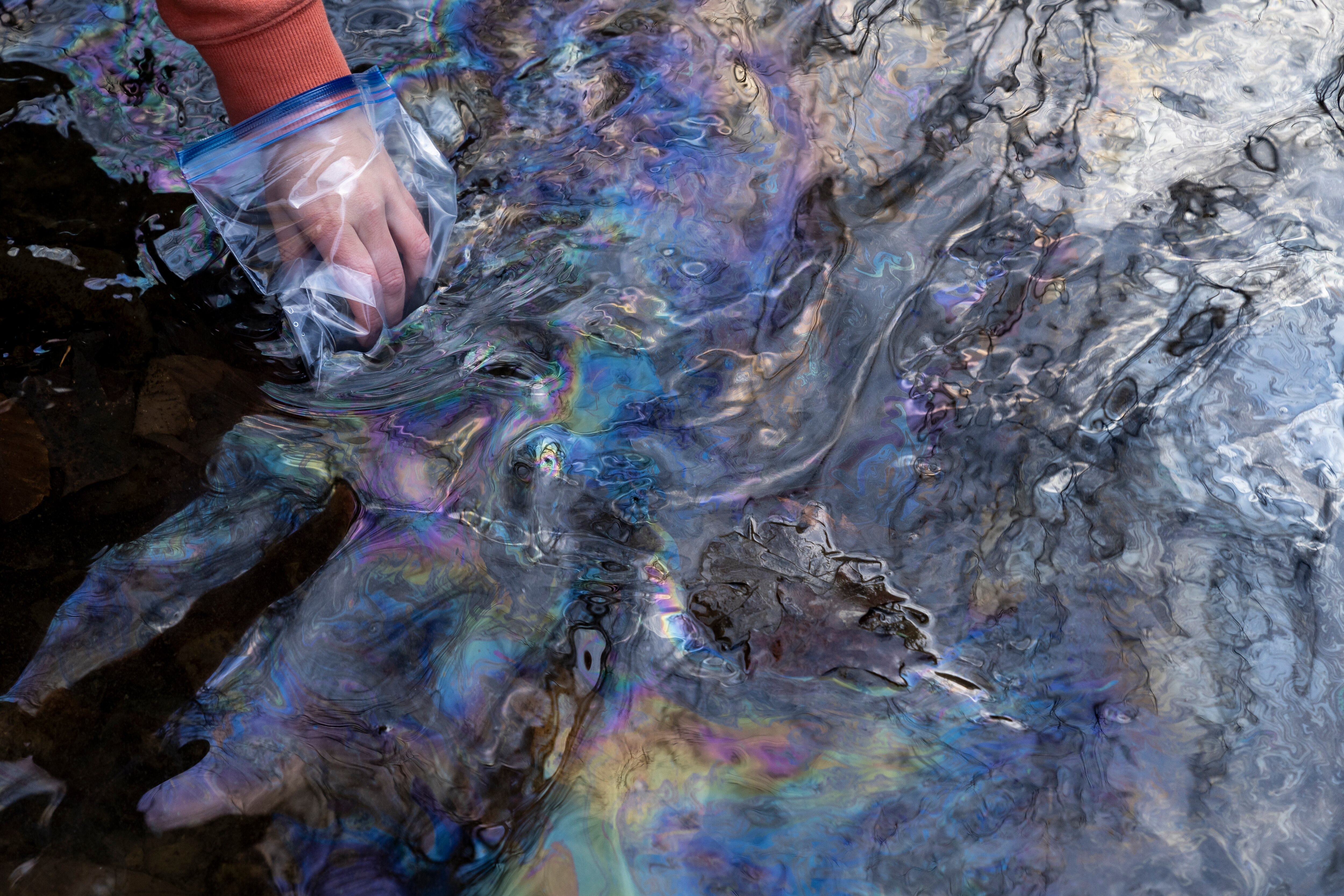 A hand covered in a plastic bag reaches into water with an oily sheen on the surface.