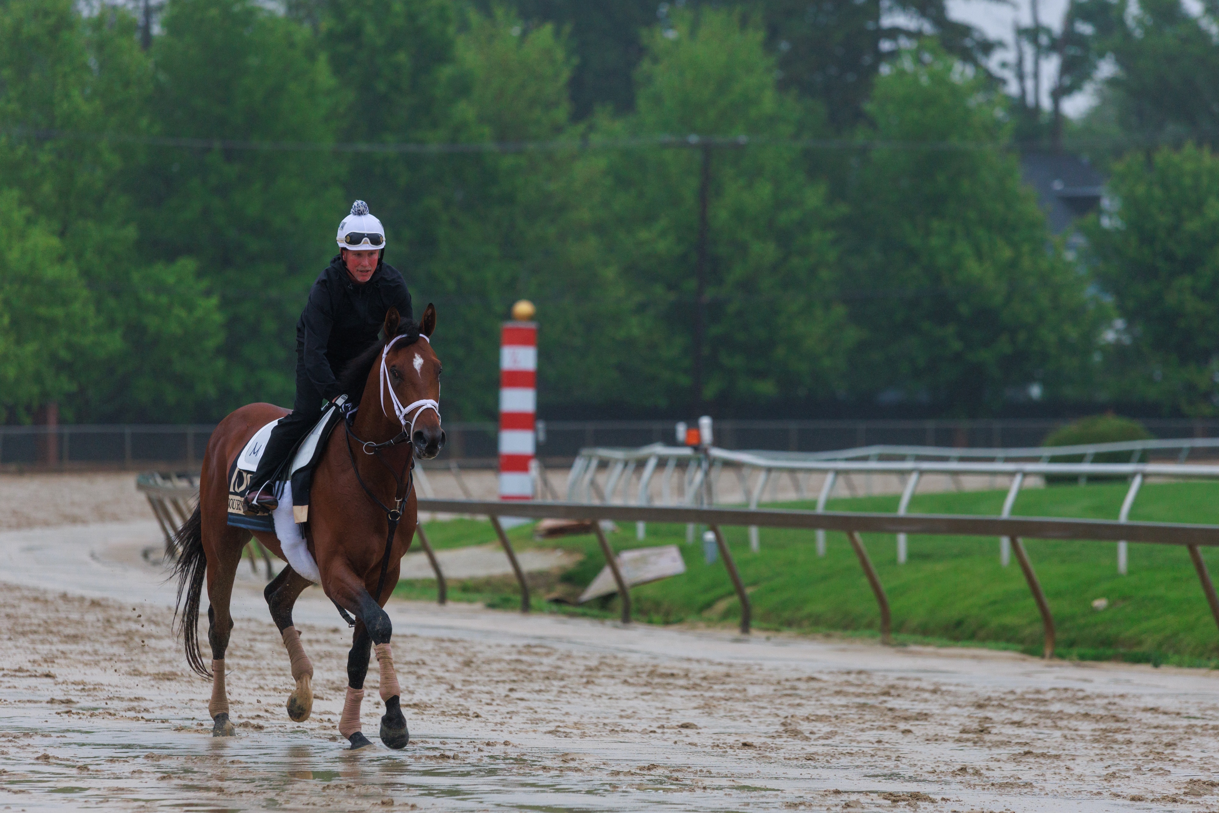 Derby runner-up Journalism, the 8-5 favorite in the 150th Preakness Stakes, trains at Pimlico Race Course on Thursday.