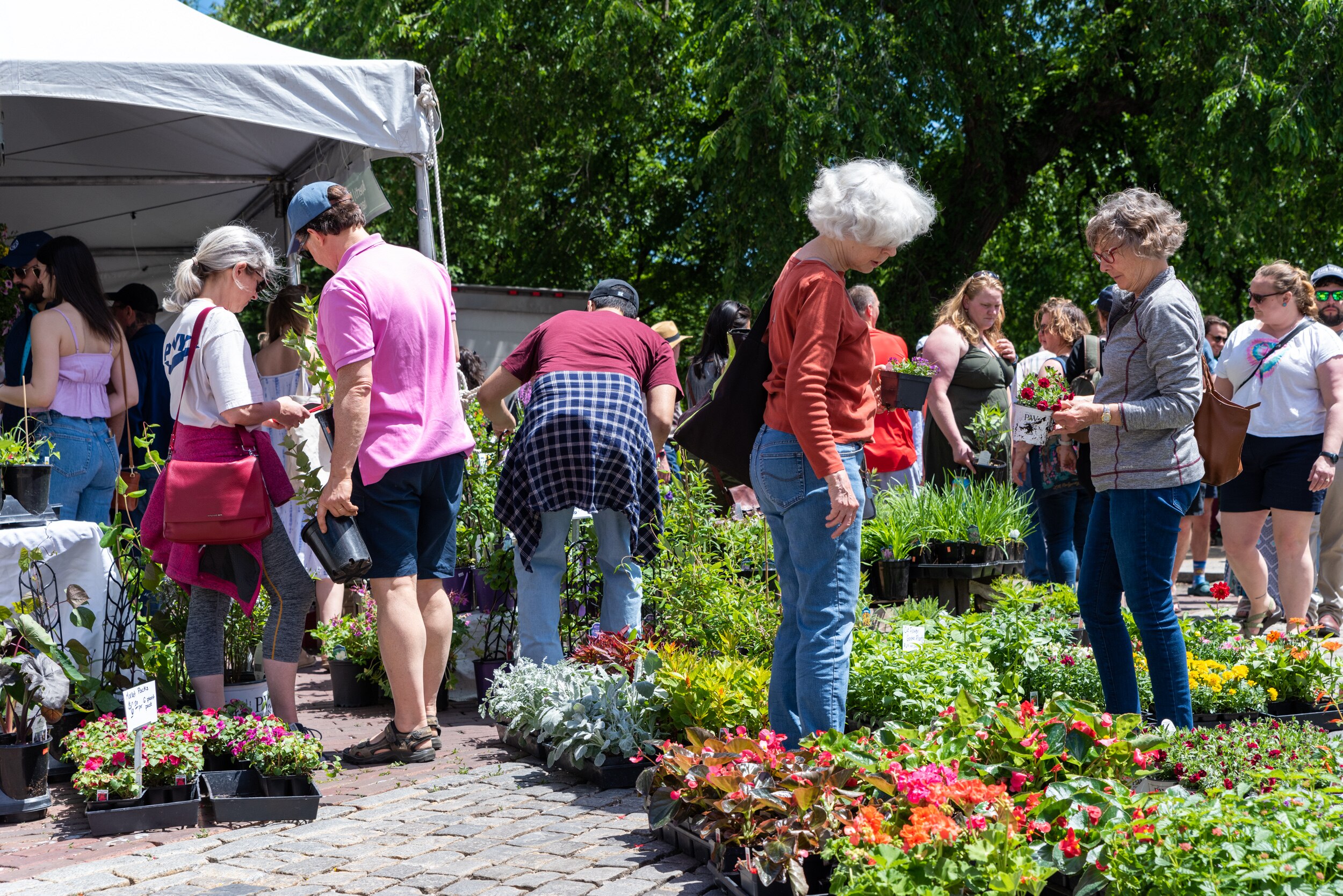 Mount Vernon Place Flower Mart in Baltimore, Maryland.