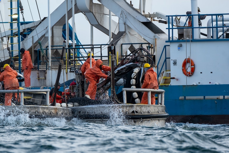 Reduction fishermen tend to their haul of menhaden on the Chesapeake Bay in 2023.