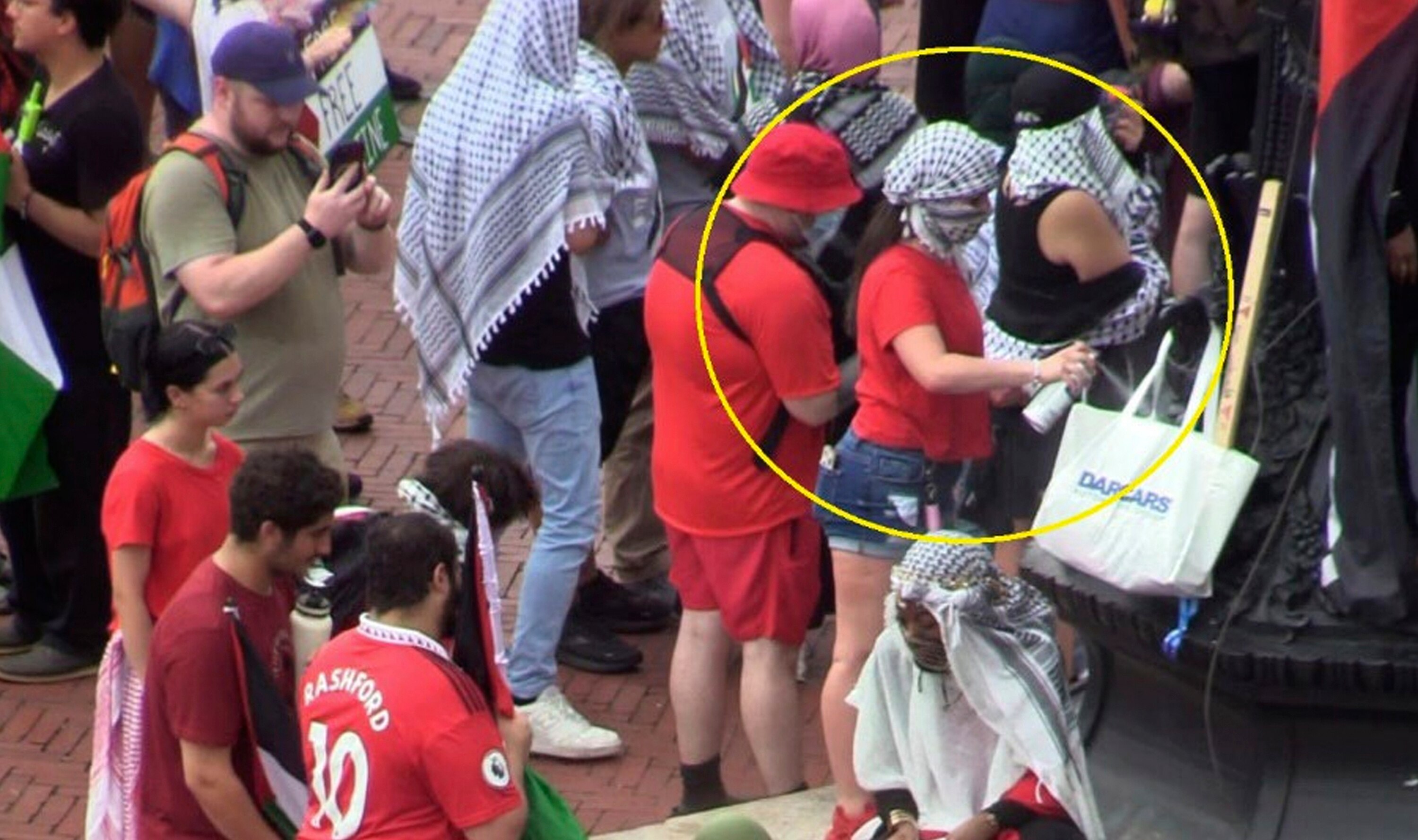 Isabella Giordano, circled in yellow, on July 24, 2024, in Washington, is charged with spray painting the base of a flagpole in Columbus Circle during a protest against Israeli Prime Minister Benjamin Netanyahu's address to Congress