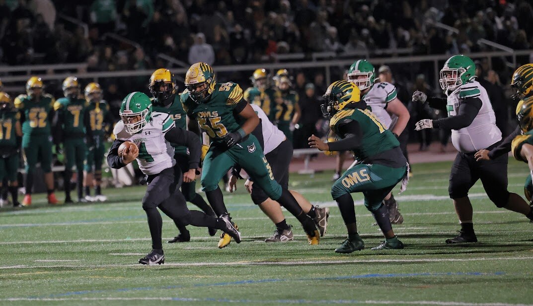 Arundel's Ahmad Taylor breaks away to the end zone in the third quarter of Friday's Class 4A/3A state football semifinal against Dundalk. It was the game's only points as the 11th-ranked Wildcats advance to next weekend's state title game at Navy-Marine Corps Memorial Stadium with a 6-0 victory over the No. 12 Owls in Baltimore County.