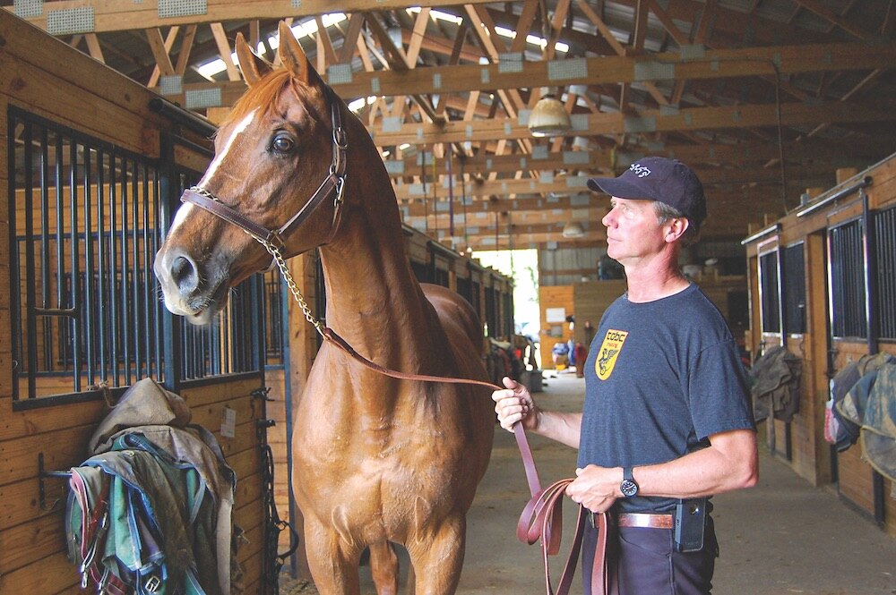 Anne Arundel County Executive Steuart Pittman, a former competitive horse rider and trainer, with retired racehorse Willy at his farm in Davidsonville. Pittman sold off his horses and rented out his barns after being elected in 2018.