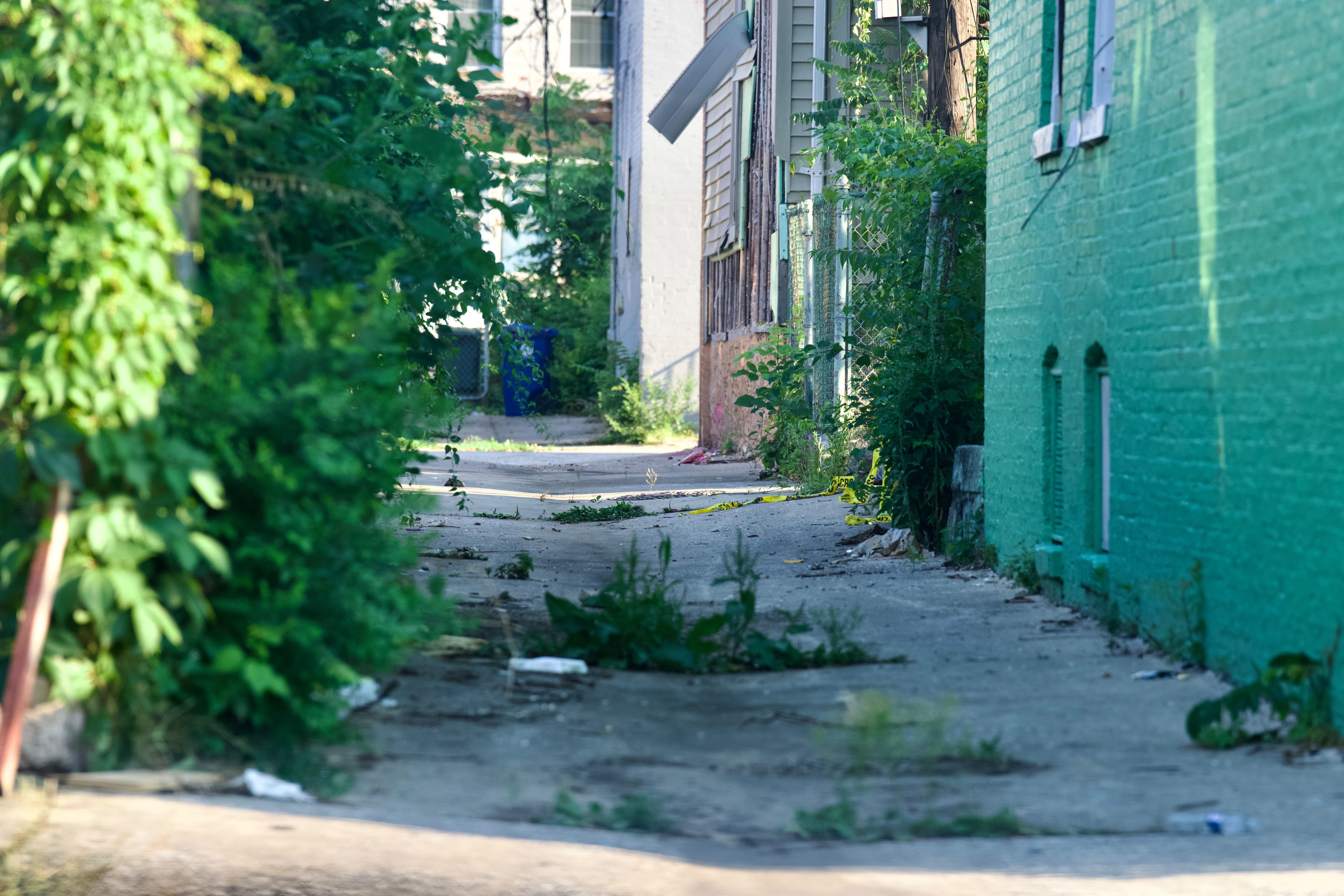 Two stray pit bull terriers were roaming North Pulaski Street in West Baltimore around 9 p.m. on June 14, 2024 when they attacked three people. A 54-year-old woman died at the scene, according to police.
