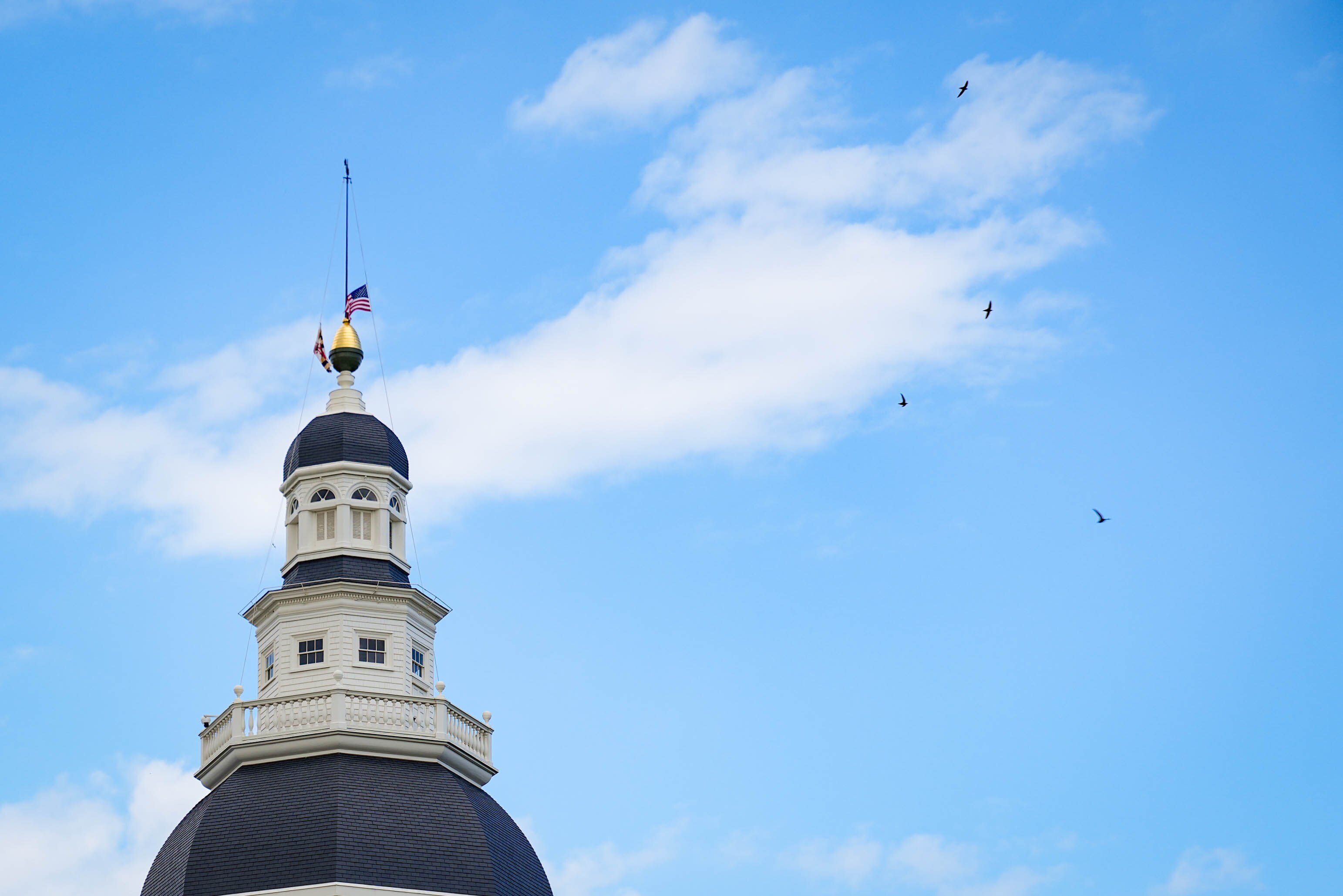 Birds fly past the Maryland State House dome in Annapolis, Md. on Thursday, May 15, 2025.