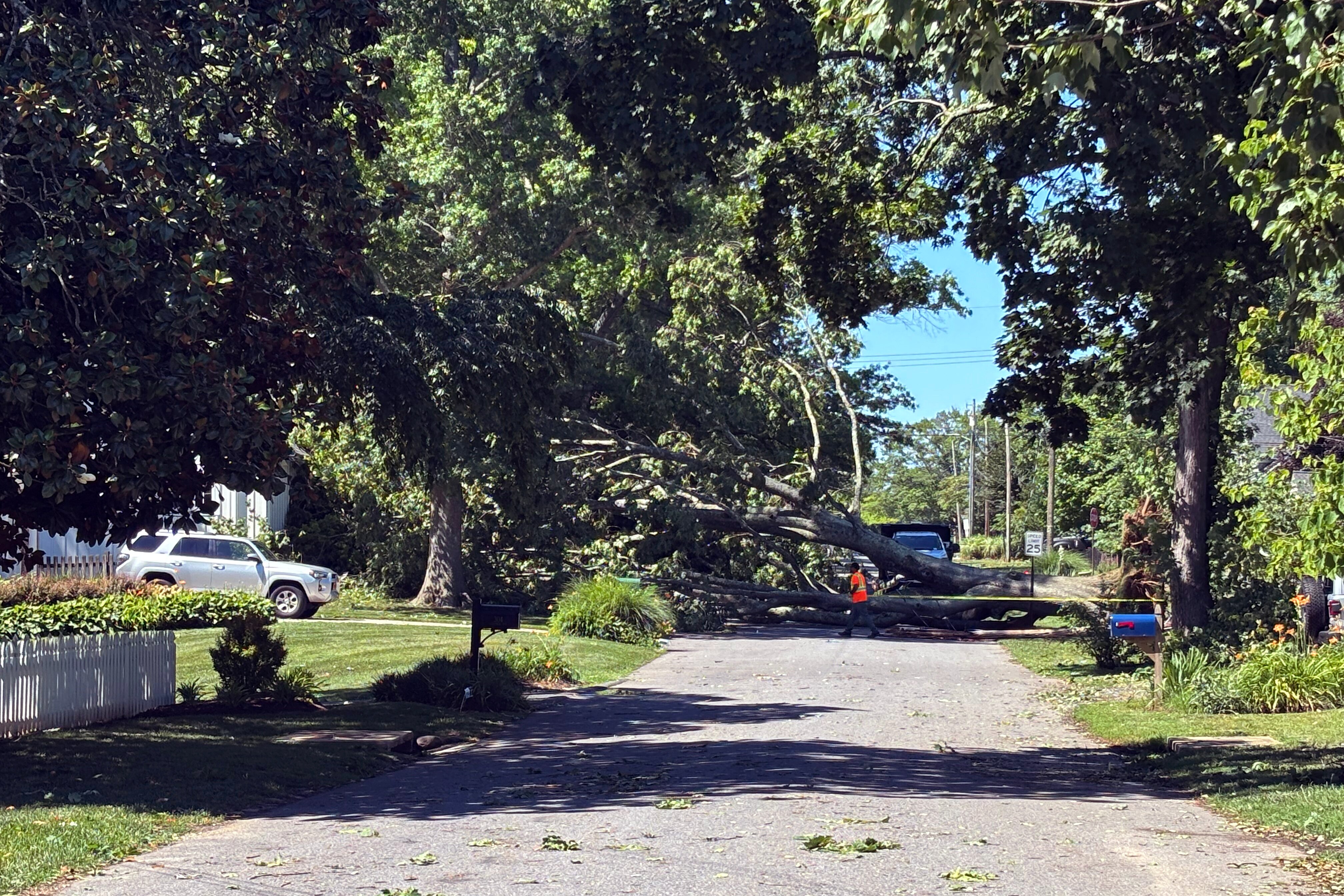 SATURDAY, JUNE 13, 2026 - Trees toppled in Annapolis after storms caused damage in the city on Friday evening.