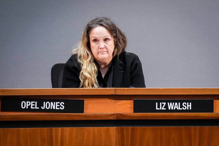 Howard County Council member Liz Walsh, representing the county’s District 1