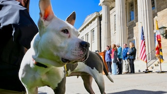 Lavender, a resident at the Baltimore County animal shelter, attends a press conference in Towson announcing a three-bill legislative package to strengthen animal welfare laws on Monday.