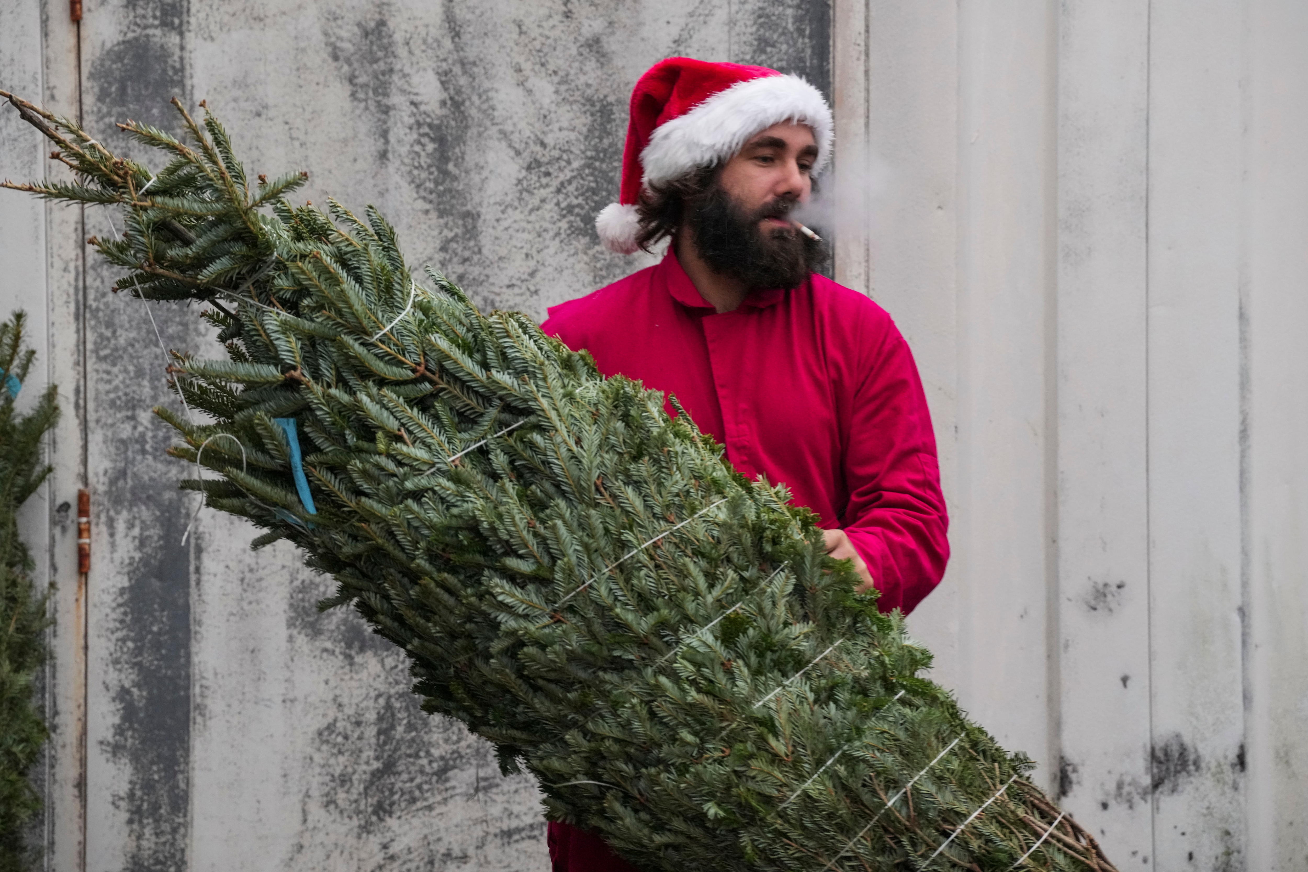 Mike Santoro puffs on a cigarette in the rain as he prepares trees to be delivered. 