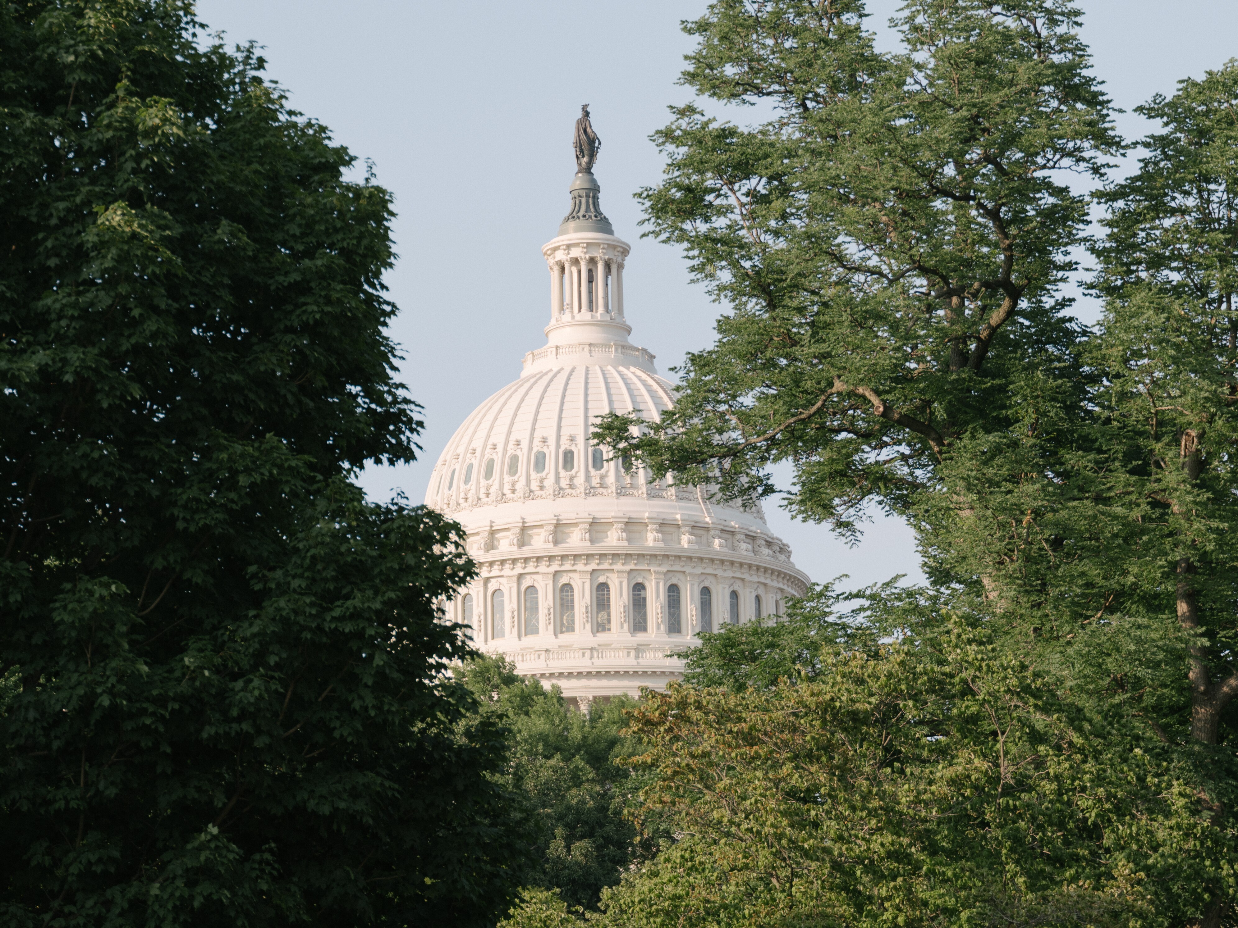 The U.S. Capitol surrounded by trees, in Washington, D.C., on June 12, 2025.
