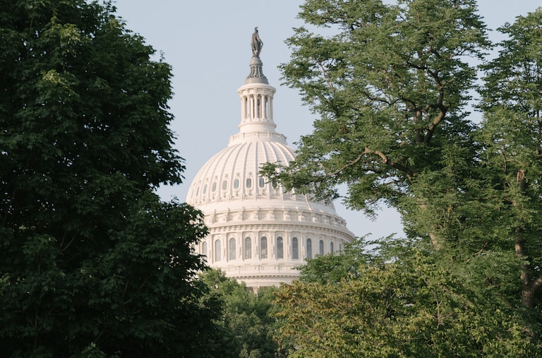 The U.S. Capitol surrounded by trees, in Washington, D.C., on June 12, 2025.