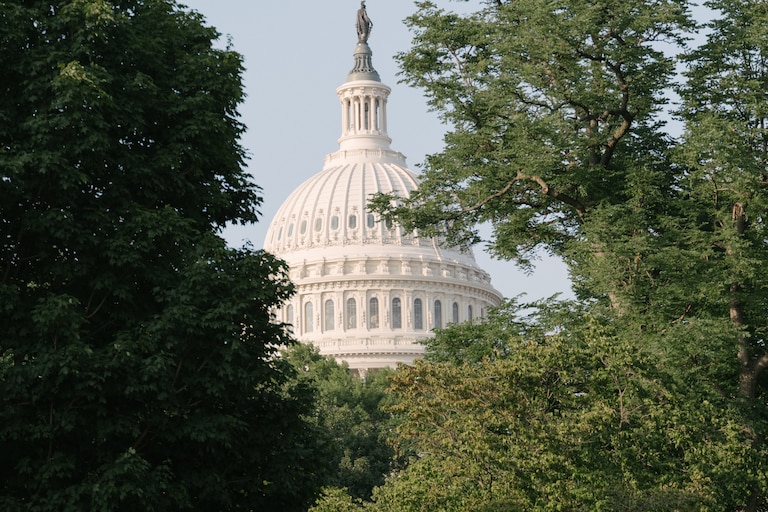 The U.S. Capitol surrounded by trees, in Washington, D.C., on June 12, 2025.