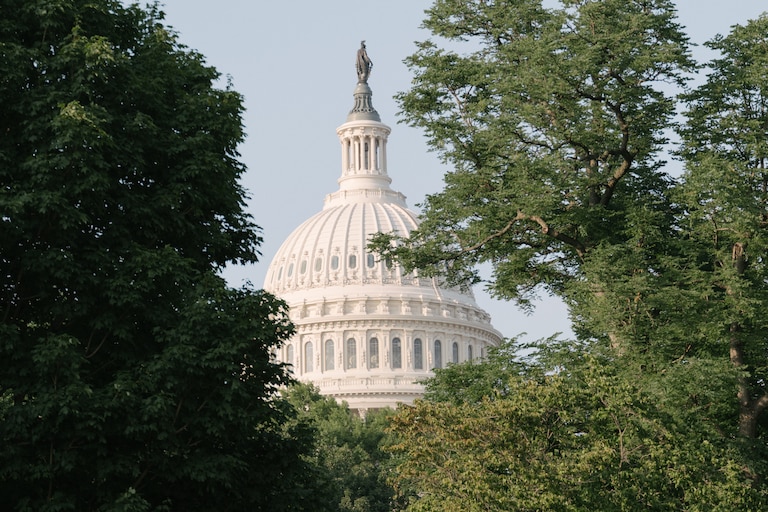 The U.S. Capitol surrounded by trees, in Washington, D.C., on June 12, 2025.