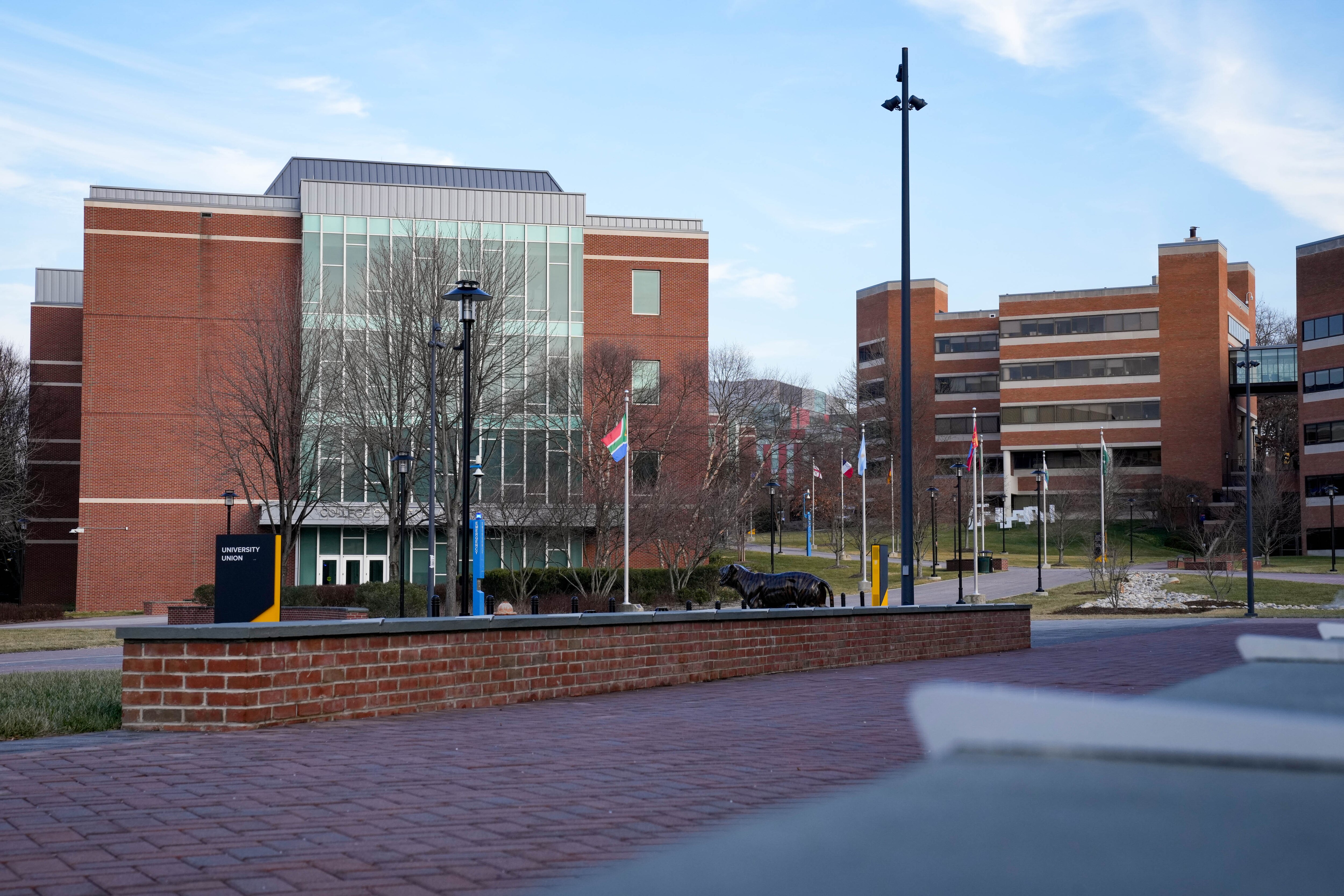 Baltimore County Police are investigating a suspect who fired multiple rounds at the Towson University undergraduate.