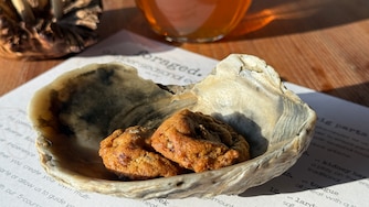 Complimentary chocolate chip cookies from Foraged.