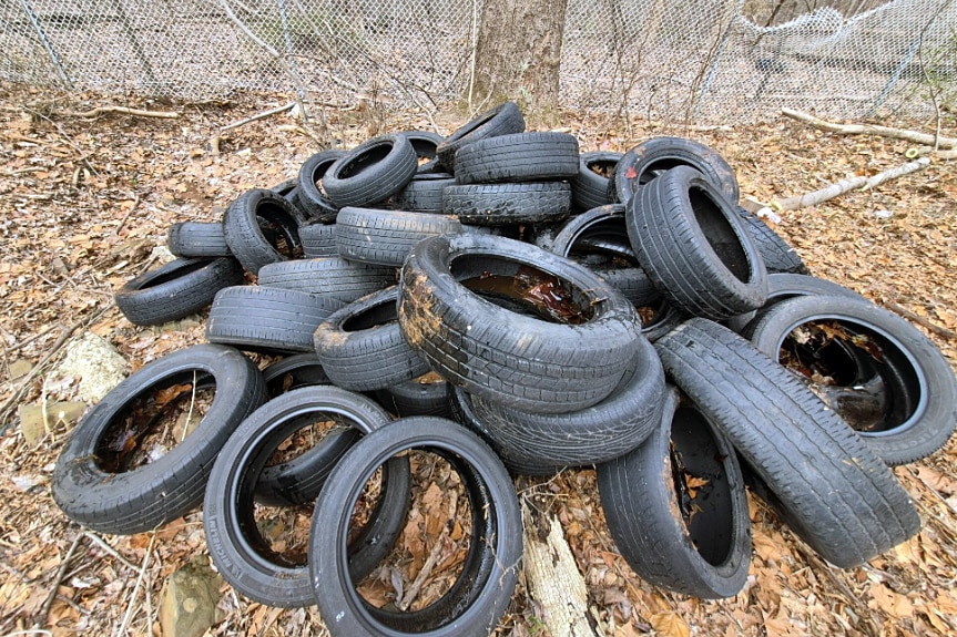 Operation Clean Sweep is an intensive week of roadside cleaning courtesy of Maryland State Highway Administration. Tires ditched off the side of Maryland Route 32 in Howard County.