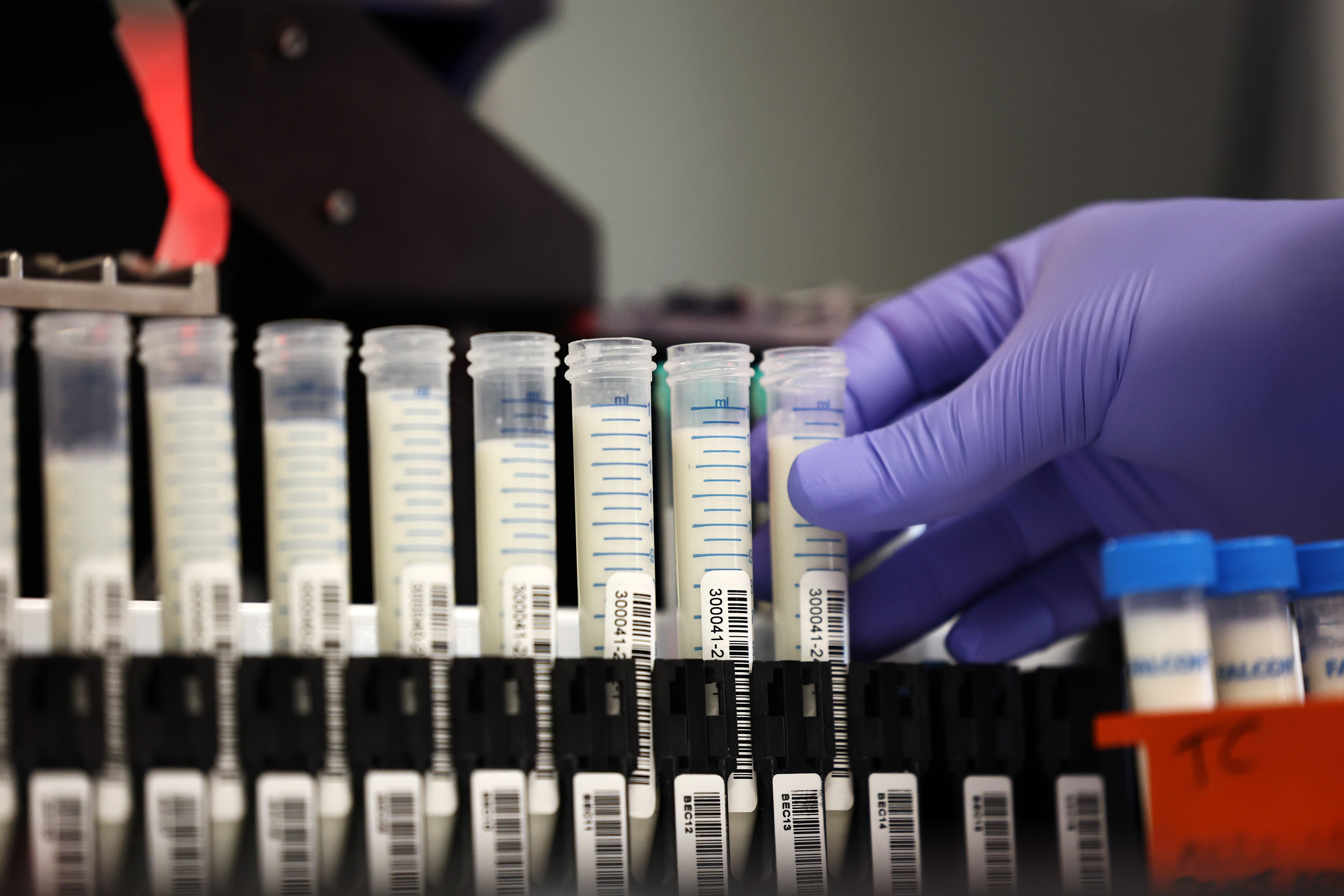 Milk samples for testing at the Animal Health Diagnostic Center at Cornell University in Ithaca, New York, earlier this week. The U.S. Department of Agriculture last week issued a federal order that requires the testing of the nation's milk supply.