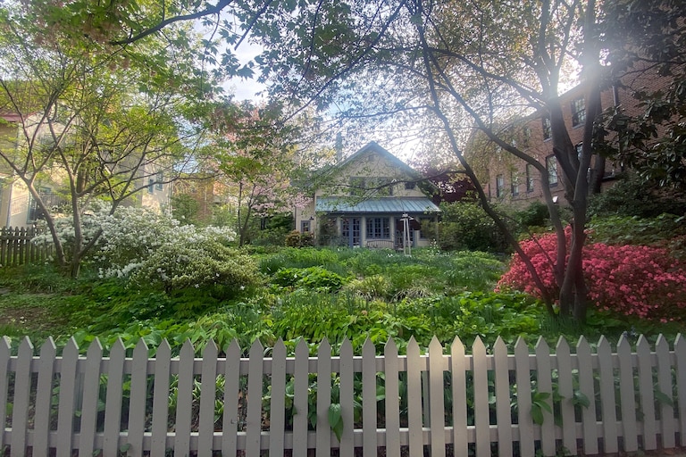 Susan Van Buren's home in Bolton Hill where she filled the yard with wildflowers and exotic plants.