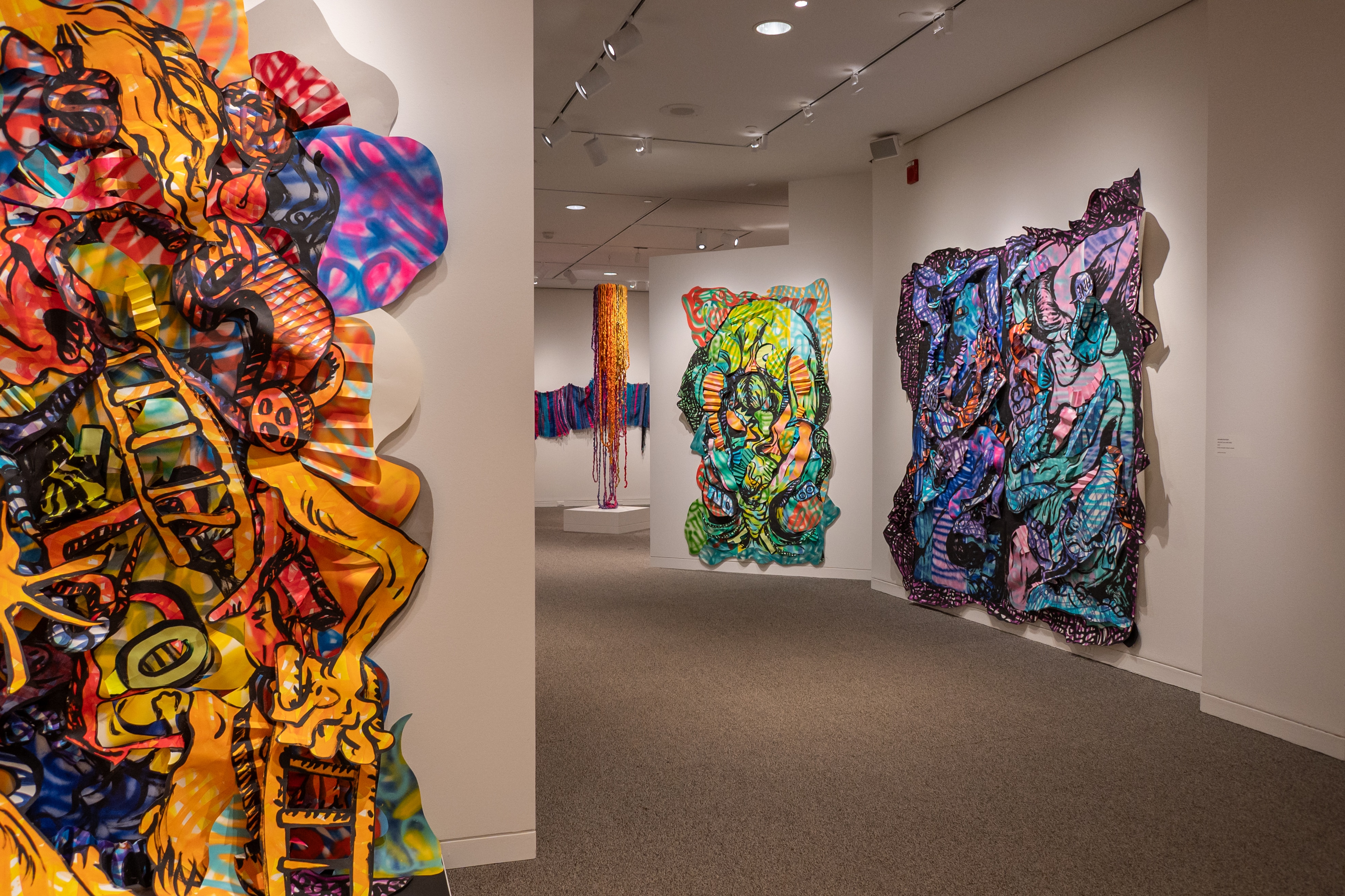 Amanda Leigh Burnham has larger unframed installations that use expressive lines in her work on display at the Sondheim Art Prize finalists' exhibit at the Walters Art Museum.