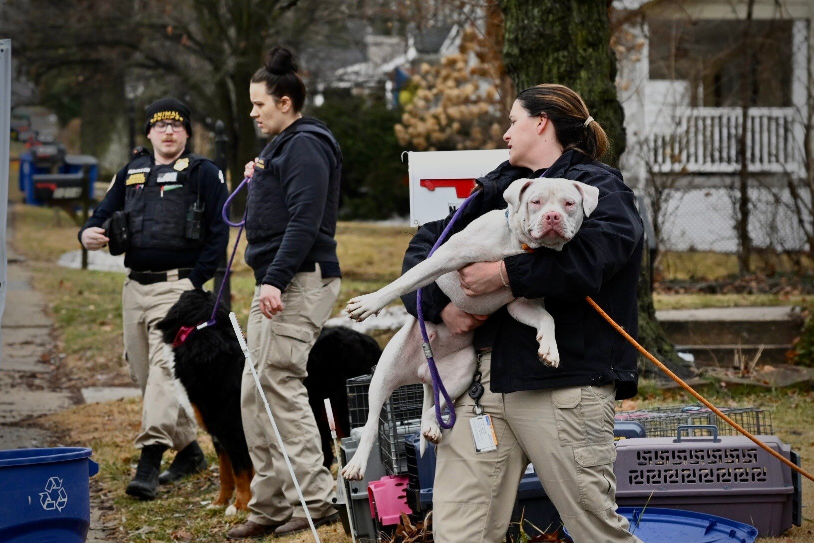 FEBRUARY 20, 2026 - Baltimore County Department of Health animal services division officers carry large dogs from a home in Catonsville.