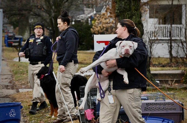 FEBRUARY 20, 2026 - Baltimore County Department of Health animal services division officers carry large dogs from a home in Halethorpe.