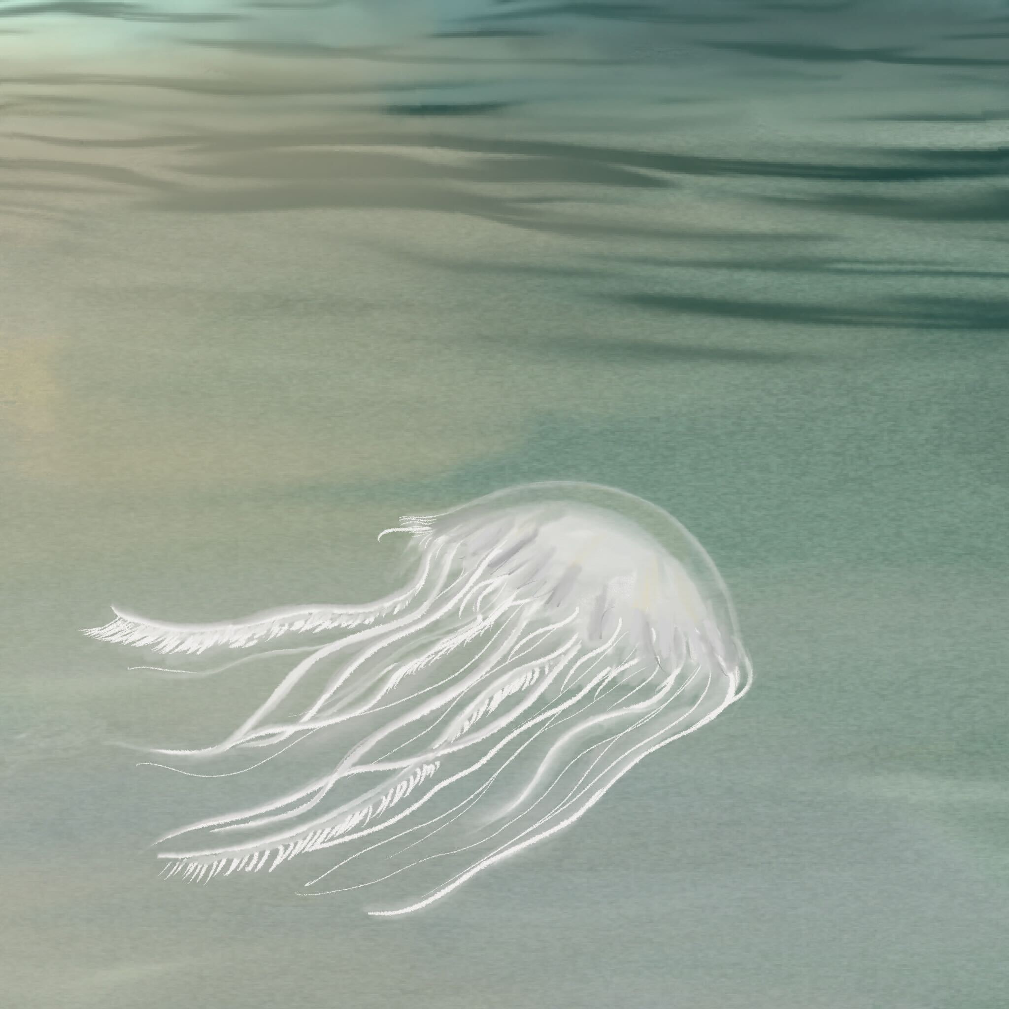 Illustration by Clara Longo de Freitas.