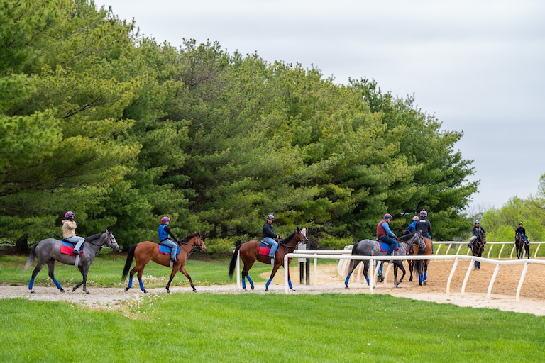 Graham Motion’s horses enter the Fair Hill Training Center track in Elkton, Maryland on Friday, April 19, 2024.