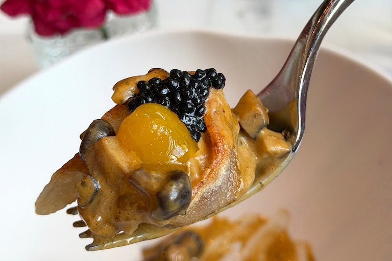 At Josefina in Harbor Point, the rabo de toro dumplings are filled with oxtail and served with creamy mushroom sauce, sous vide yolk and truffle caviar.