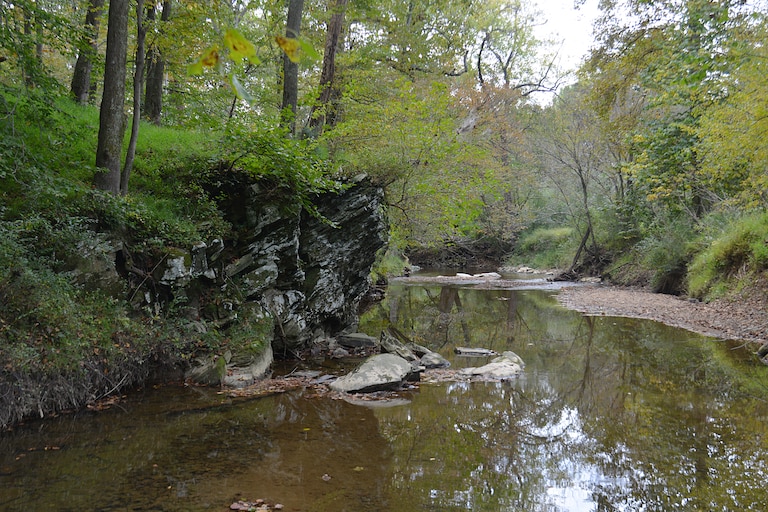 Muddy Branch Stream near Esworthy Road in Montgomery County.