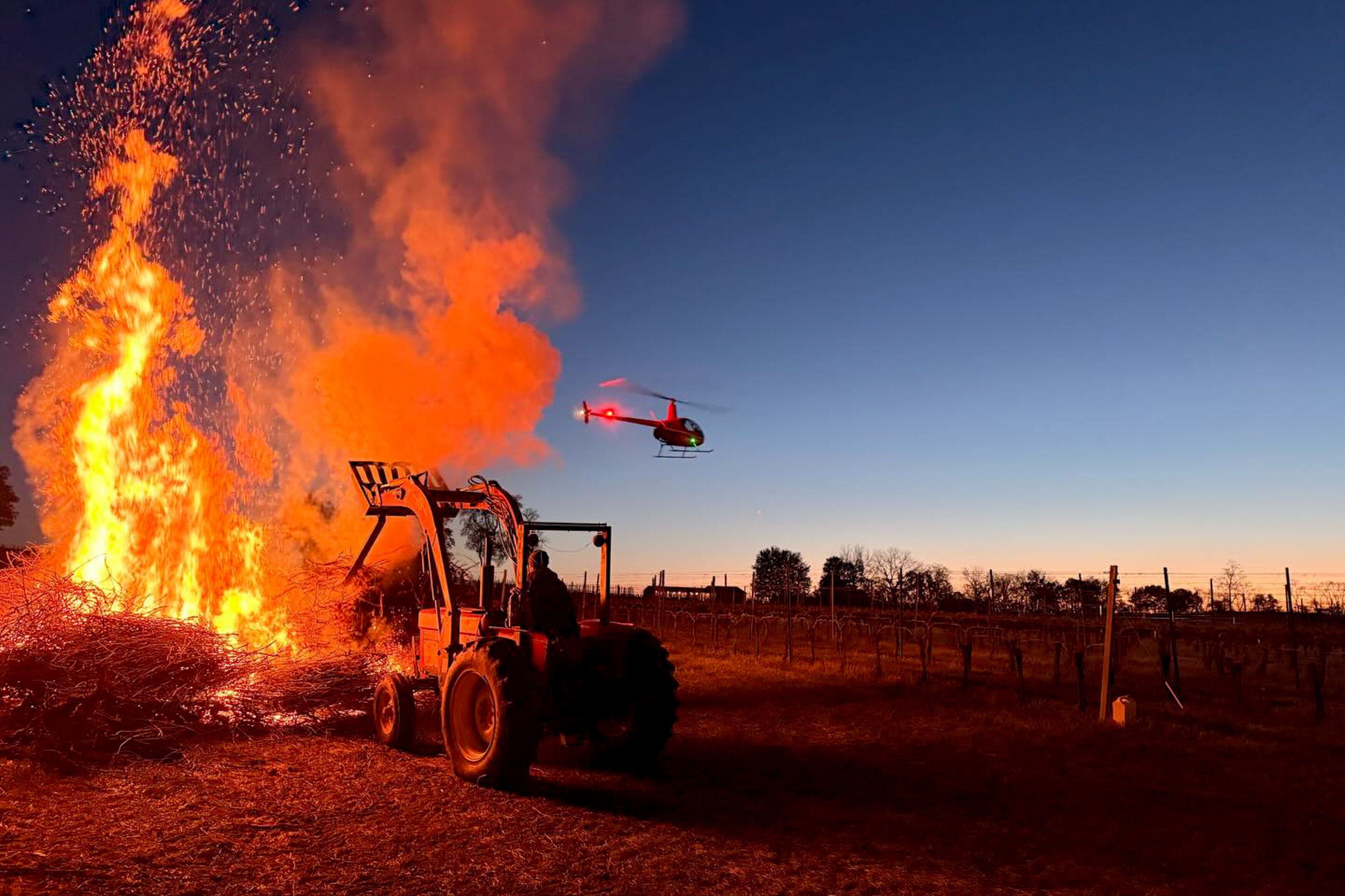 At Boordy Vineyards, employees lit fires and hired a helicopter to fly laps to mix the air in an attempt to save a portion of their vineyard from the sudden frost.