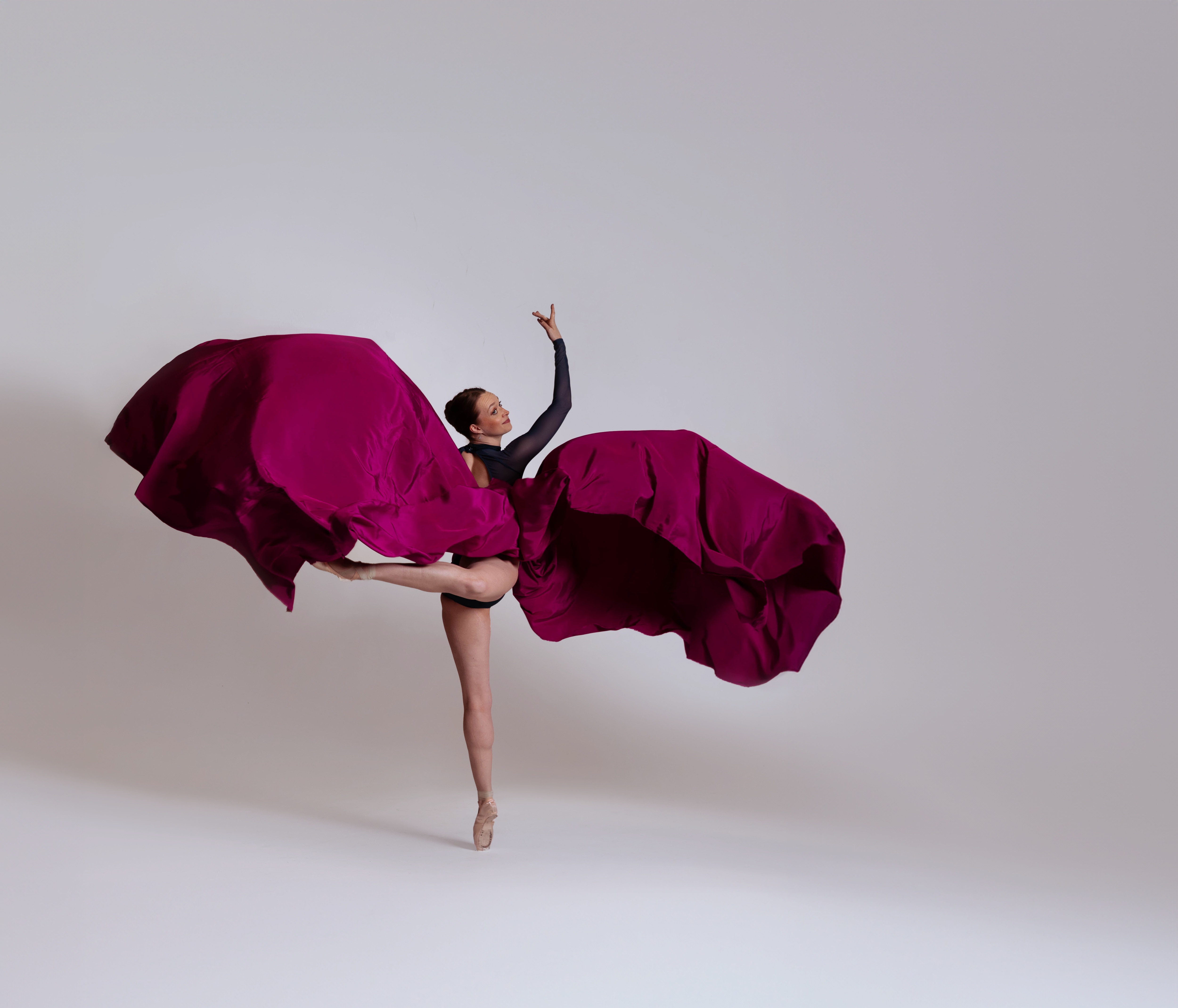 The Ballet Theatre of Maryland will perform with the Annapolis Symphony Orchestra Saturday during their annual family concert.