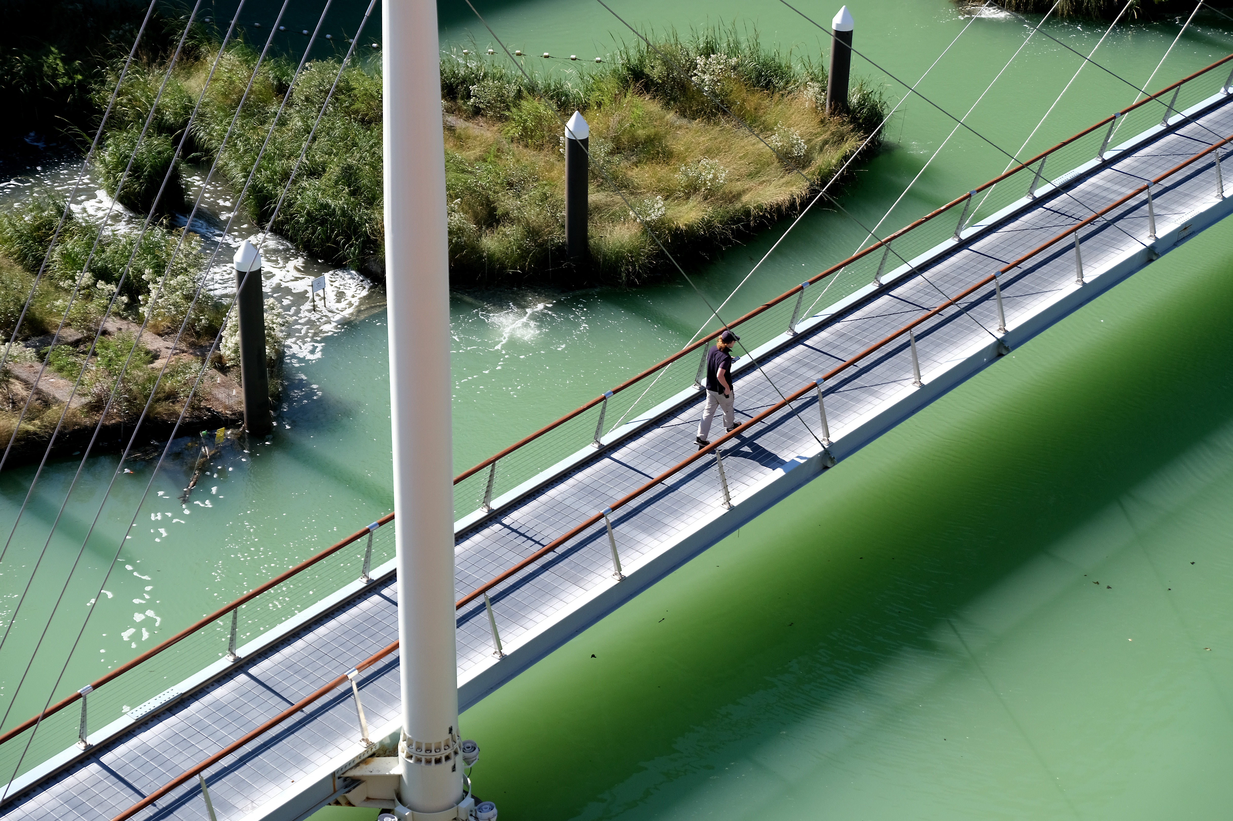 The water in Baltimore's Inner Harbor is bright green on Wednesday as Blue Water Baltimore calls the event the most widespread "pistachio tide" they've seen.