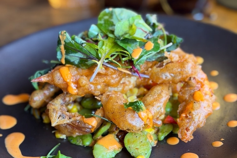 Soft-shell crab at Midlina is tempura-fried and served with English pea puree, corn succotash, roasted red pepper oil, orange-infused oil and greens.