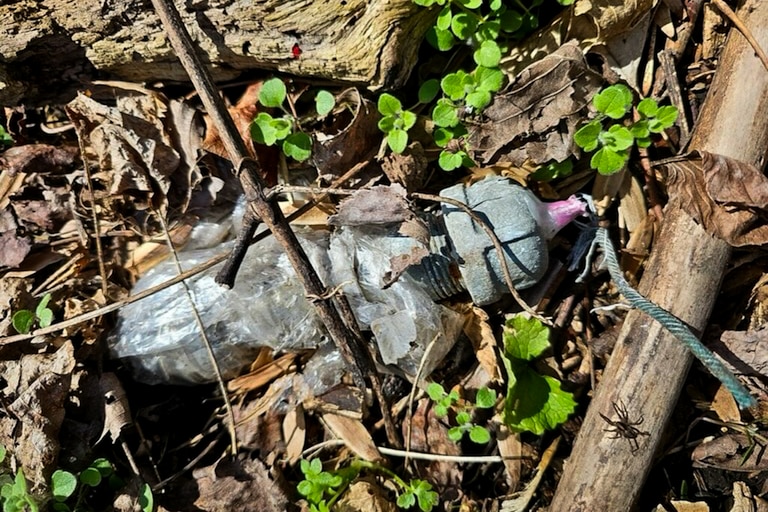 Yesterday, technicians with the PGFD Bomb Squad responded to Ft. Washington Park after several explosive devices were located. US Park Police evacuated then closed the park. 5 devices were rendered safe before operations were suspended after sunset. This morning, additional explosive devices were located. The Bomb Squad is on scene working to render the devices safe. A joint investigation with members of the PGFD Fire Marshal’s Office along with the Office of the Maryland State Fire Marshal, the ATF, the FBI, the and the US Park Police is underway and ongoing.