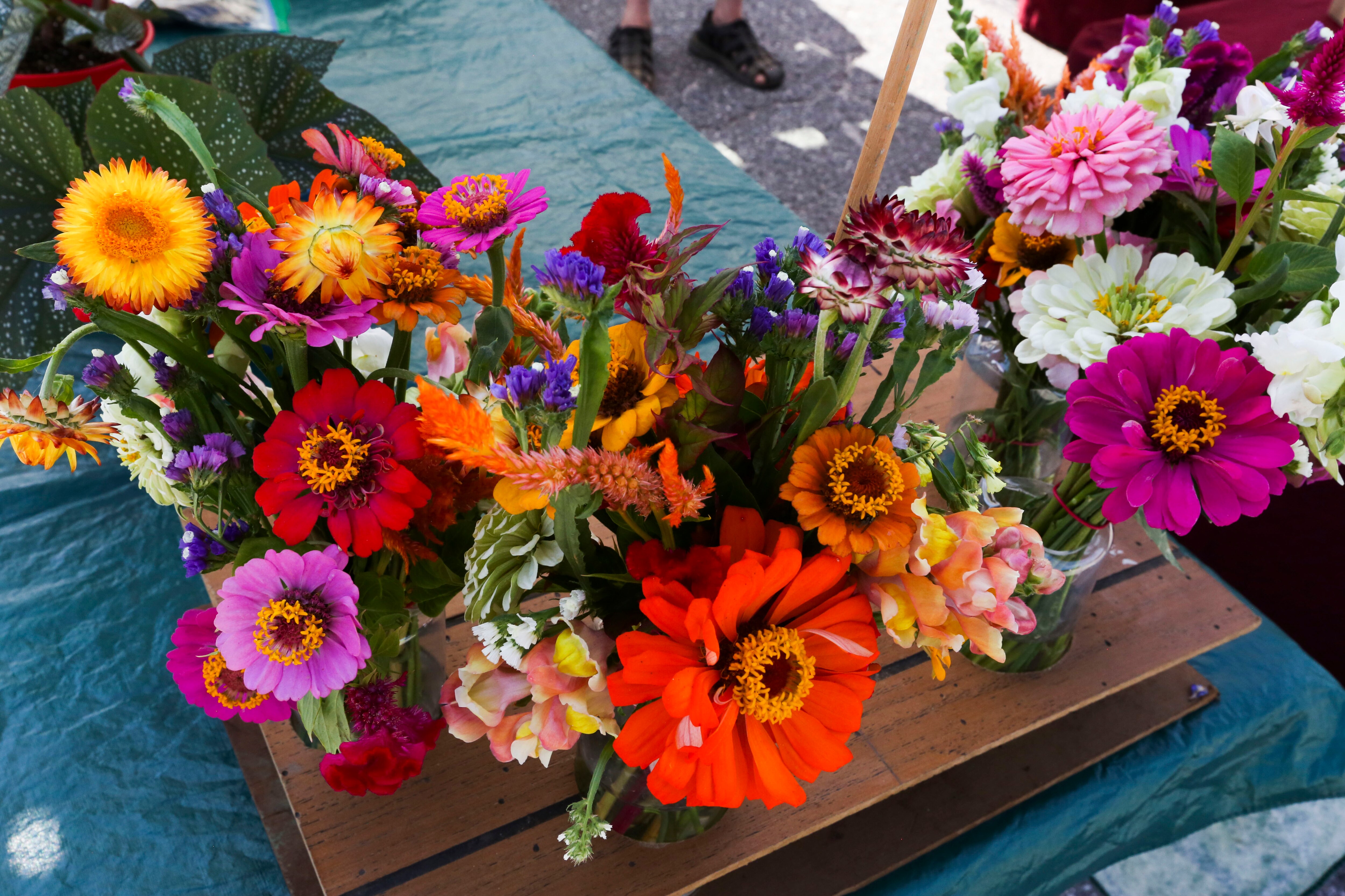 Flowers at a Baltimore County farmers' market.