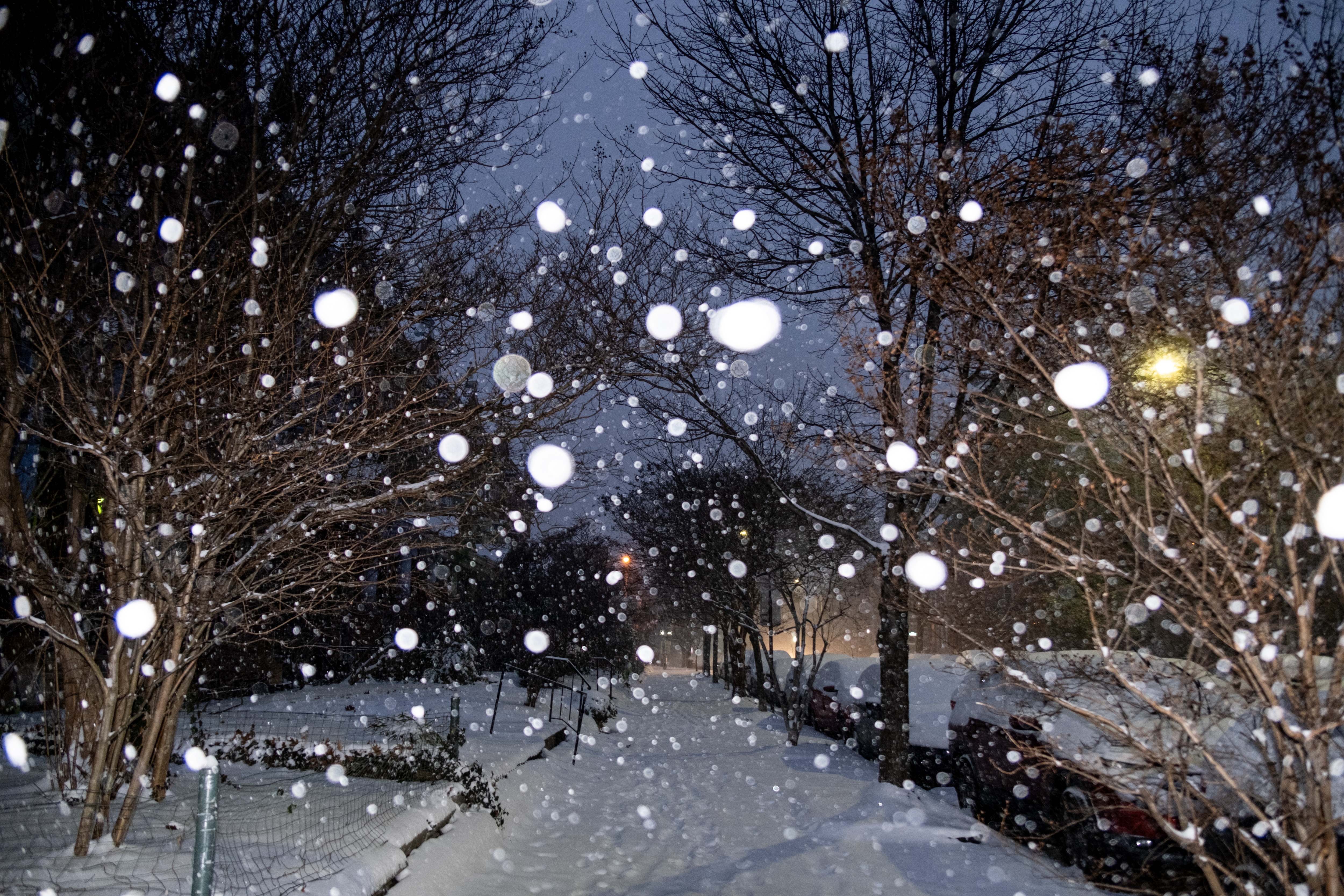Snow falls in the Charles Village neighborhood of Baltimore, Md., on Monday, January 6, 2025.