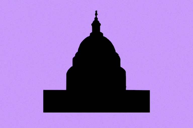 2026 Voter Guide: Congress