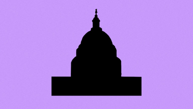 2026 Voter Guide: Congress