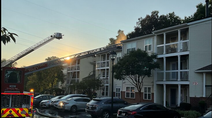 One firefighter and a resident were taken to a hospital with non life-threatening injuries. Two dogs and a cat died in the fire.