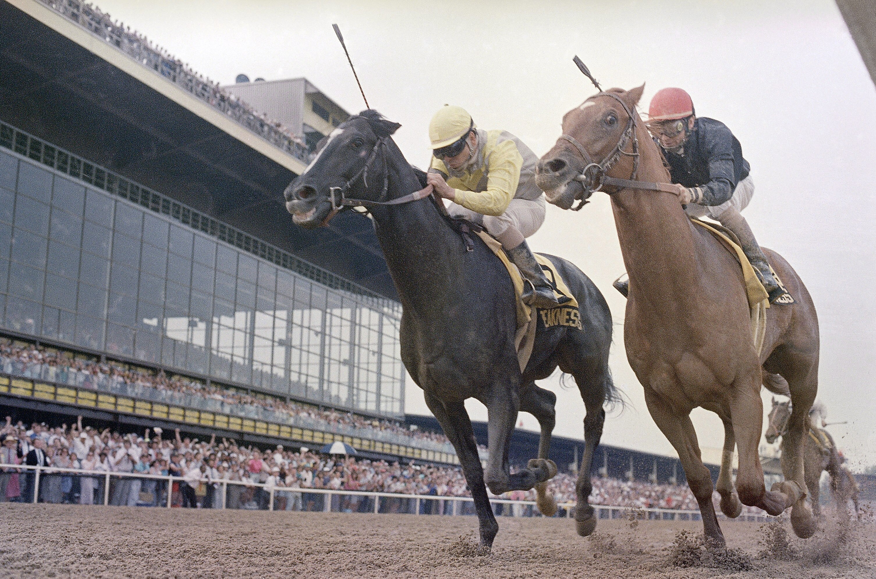 Sunday Silence with jockey Pat Valenzuela in mount, left, battles with Easy Goer with Pat Day up as they near the finish line during Saturday's 114th running of the Preakness Stakes at Pimlico Race Course in Baltimore on May 20, 1989.   Kentucky Derby winner Sunday Silence out distanced Easy Goer to take the second jewel in racing's triple crown. (AP Photo/Bob Daugherty)