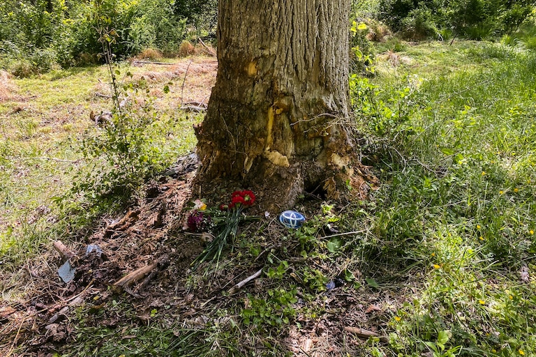 On Sunday, the makeshift memorial at the site of a car crash at the intersection of Poplar Hill Road and Merrymans Mill Road in Cockeysville; car shrapnel and heavy tire marks are still visible near the tree. The crash, which happened on Friday night, left three minors injured and one adult dead.